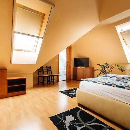 Apartament Buzavirag *
