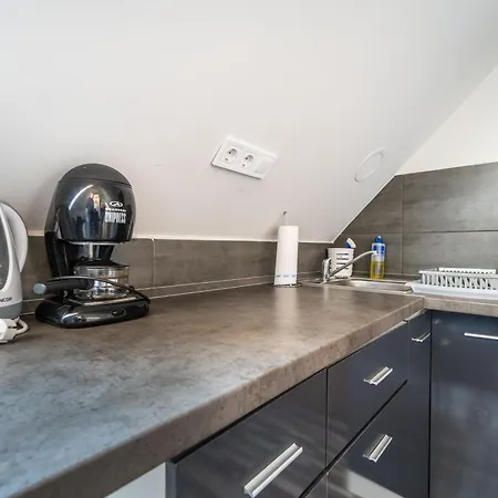 Apartament Buzavirag *