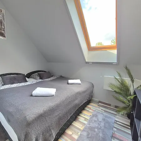 Apartament Buzavirag *